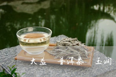 大益 普洱茶 玉润 2007/2023053010593